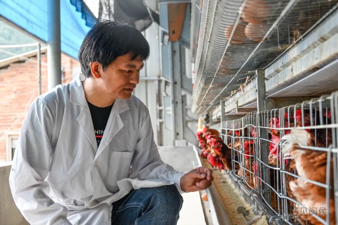 累计挽回损失3亿多元！闽侯这个“科特派”，厉害了！