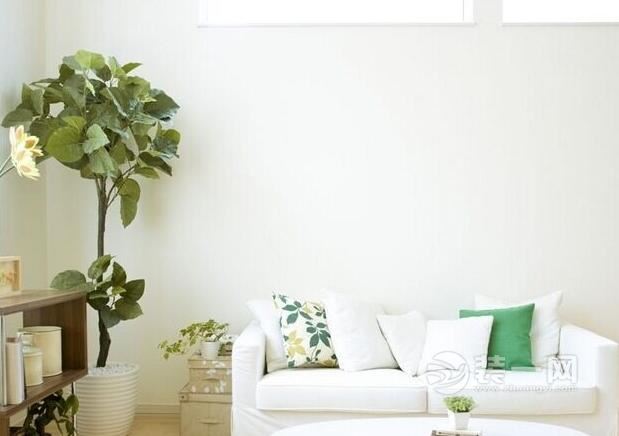 家居植物风水效果图