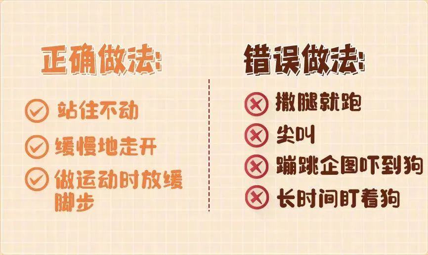 恶狗小区内咬伤6人，包括4名儿童！路遇恶狗袭击怎么办？
