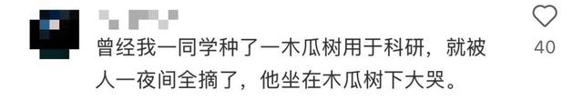 网友钓到带编码的鱼 出处找到了