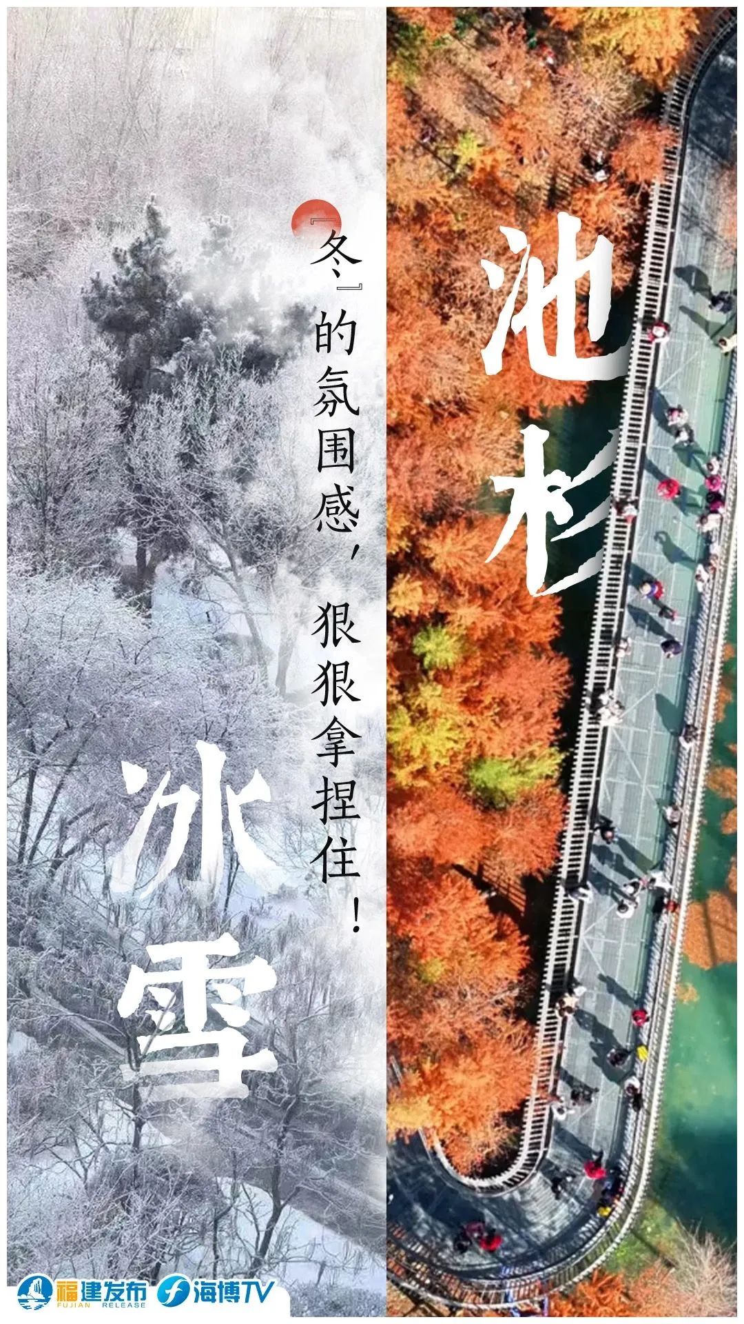 和“小当归”去尔滨！福建该叫“小_____”呢？