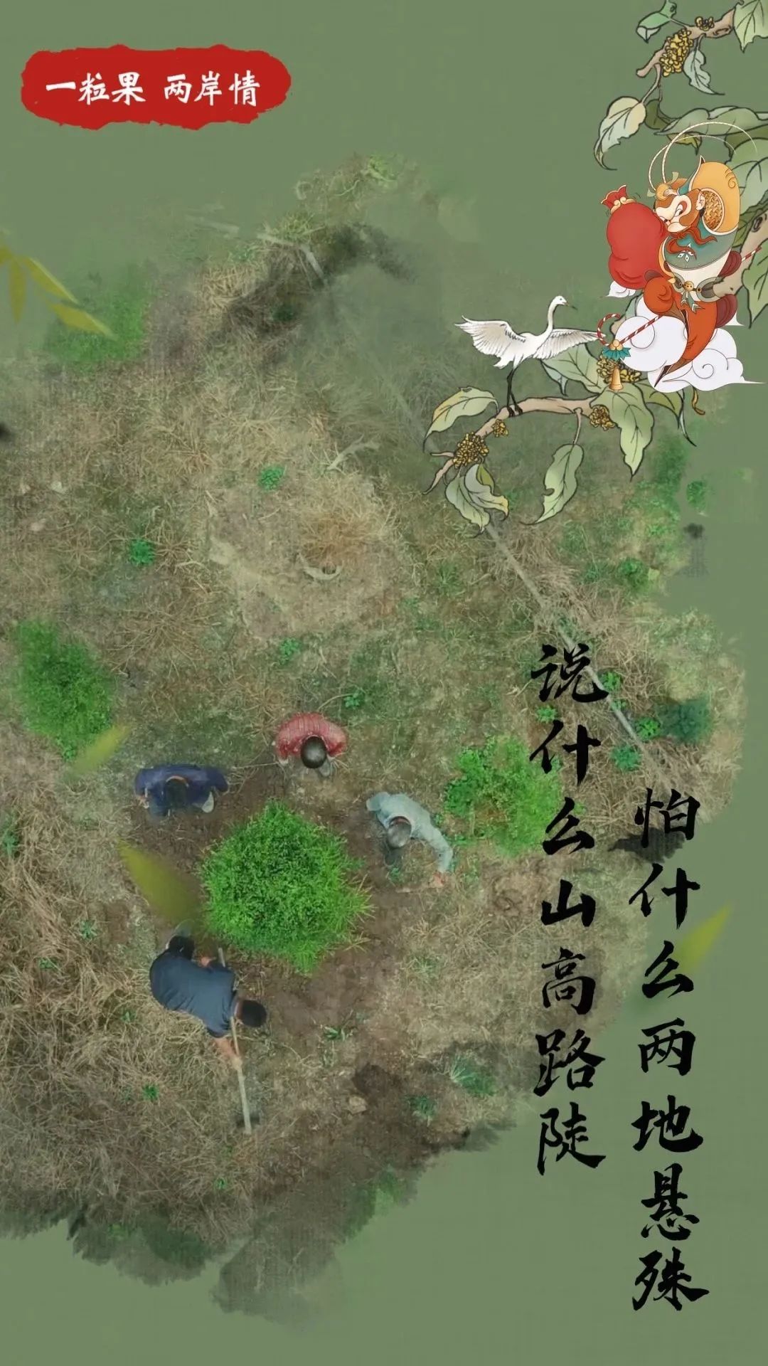 福建有座“花果山”！孙悟空也来了！