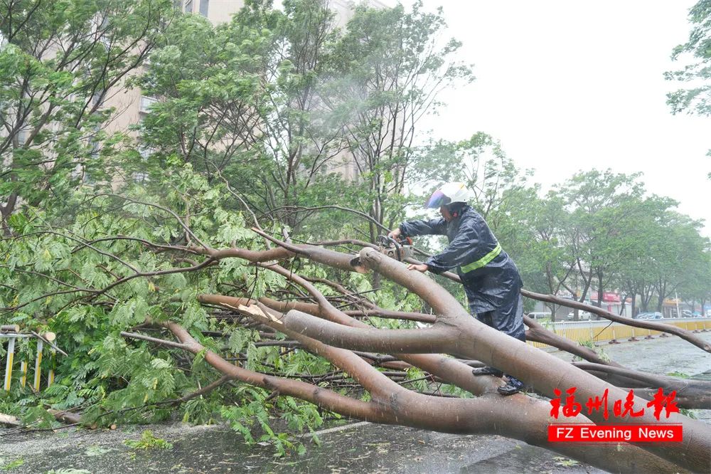 台风“格美”即将登陆福建！福州严阵以待！