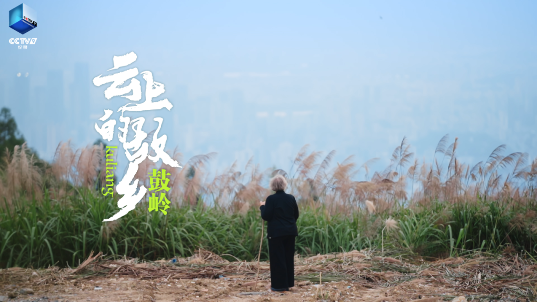 欢迎你走进《云上的故乡：鼓岭》！
