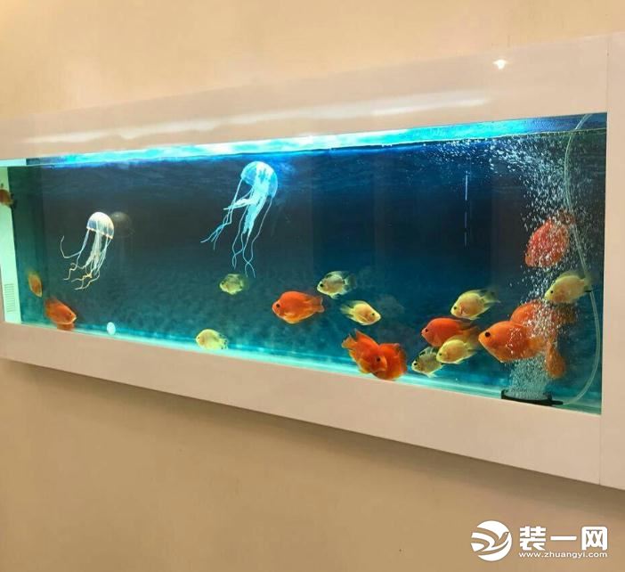 生态鱼缸效果图