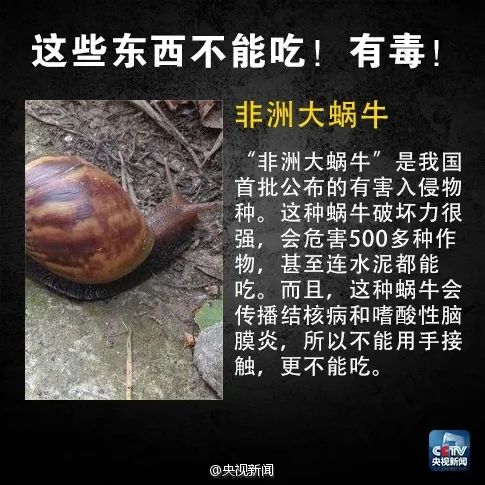 毒性比砒霜高百倍！多地发布预警：别买！别吃！