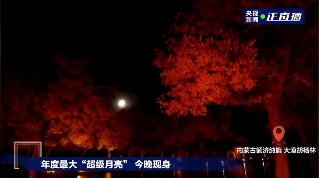 快看啊，超级大！福建的你看到了吗？