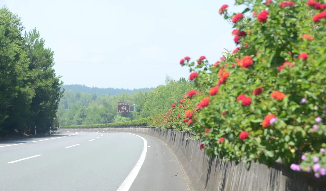 定了！福建这些高速路段免费通行