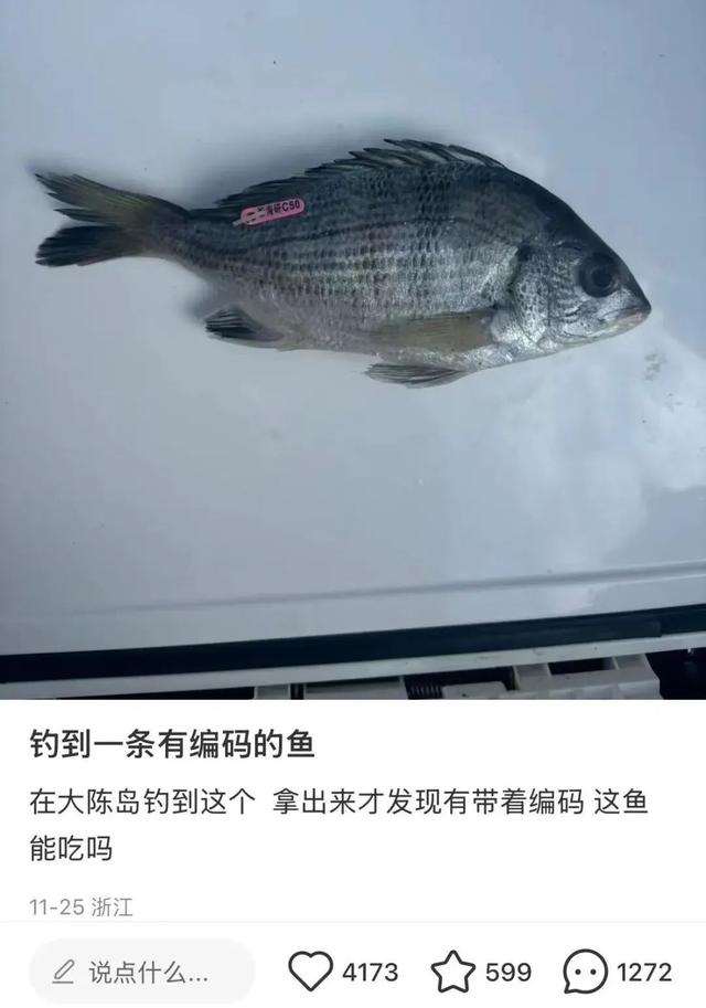 网友钓到带编码的鱼 出处找到了