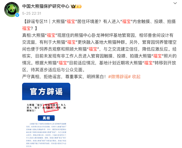 最新确定，事关“福宝”