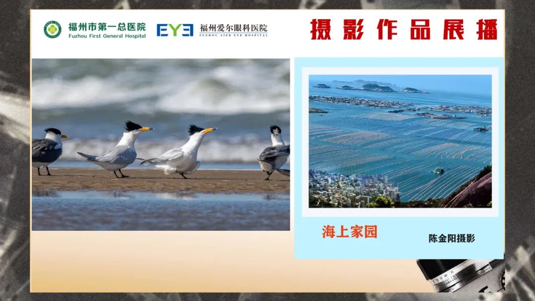 好看的生活，值得好好看看！“首届爱尔杯中老年摄影大赛”完美收官