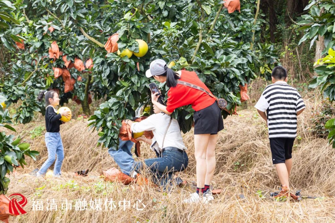 半山咖啡、田野餐厅、湖畔民宿……福清这里将成出游“新宠”