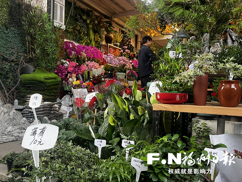 福州花店距离“明码标价”还有多远？