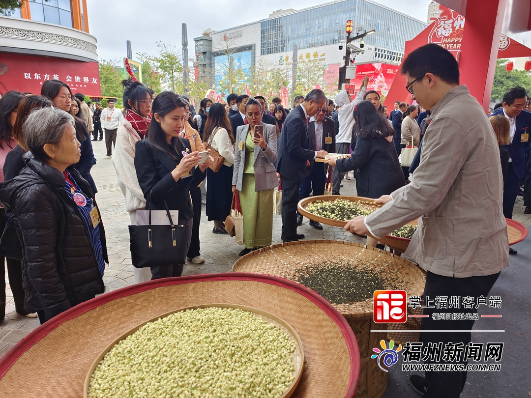 持续至4日！中国—东盟迎春嘉年华在福州举行