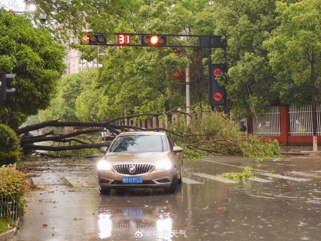 江西抚州12级雷雨大风 堪比台风登陆