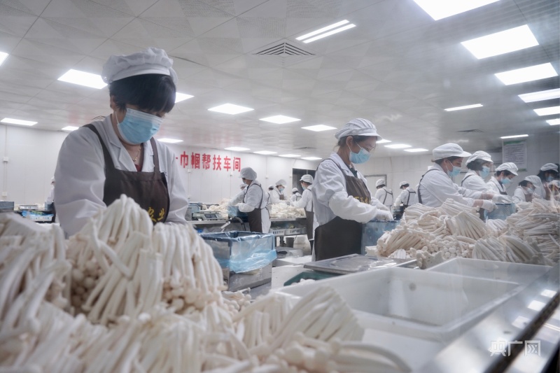 福建巾帼力量：生产一线绽芳华