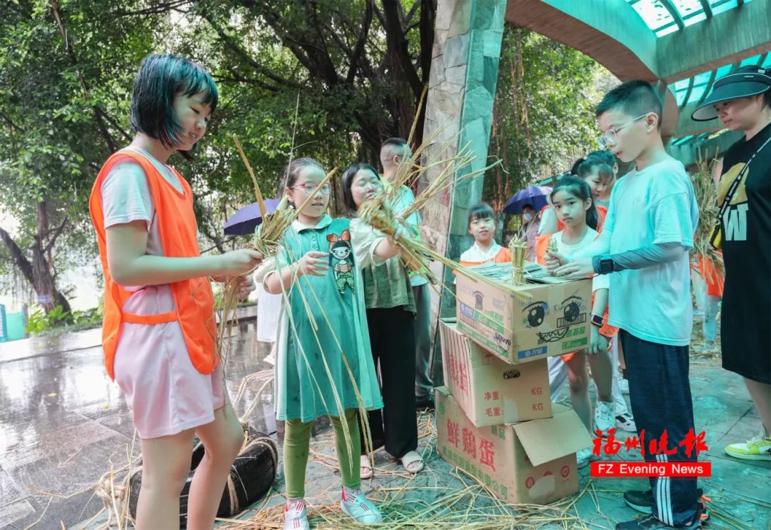 太可爱了！福州“四胞胎”首次亮相！