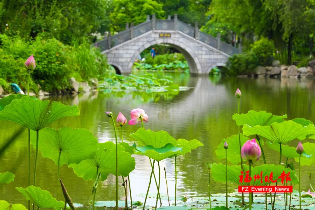 打卡！打卡！福州这里，绝美！