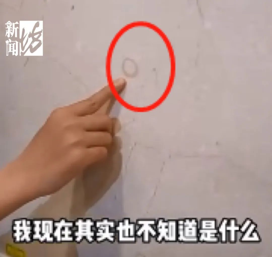小学生在瑞金医院发现上亿年前化石