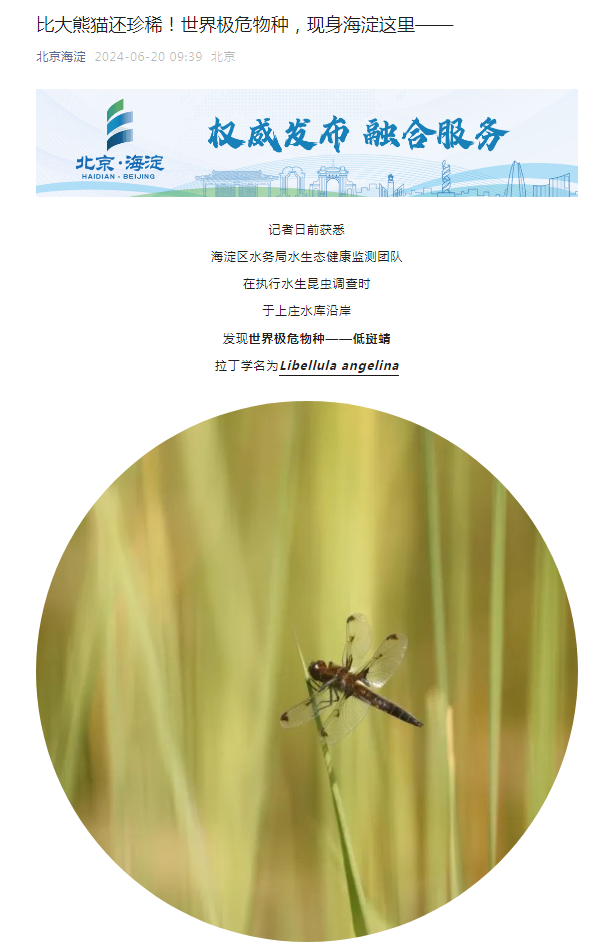比大熊猫还珍稀！北京发现世界极危物种