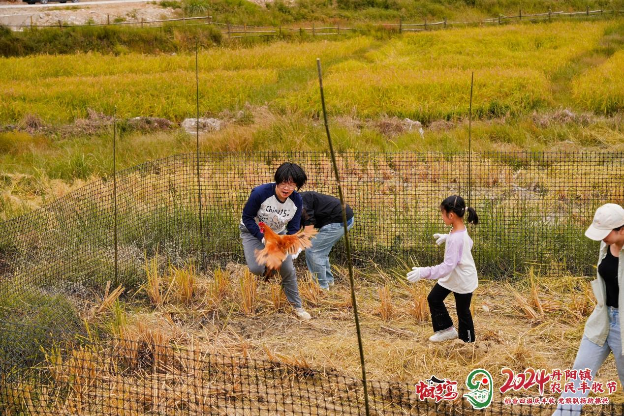连江县丹阳镇举办2024年农民丰收节：稻香四溢庆丰收 党旗飘扬助振兴