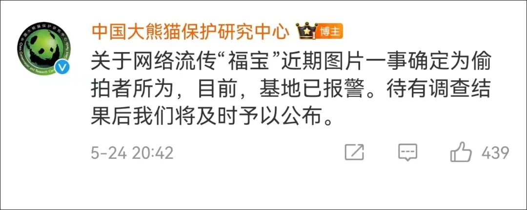 最新确定，事关“福宝”