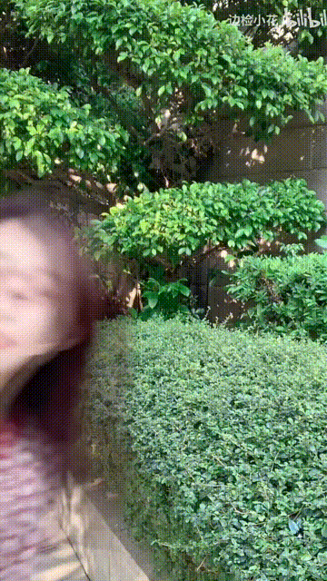 “全网最甜”退役女兵，是来自福建的她？