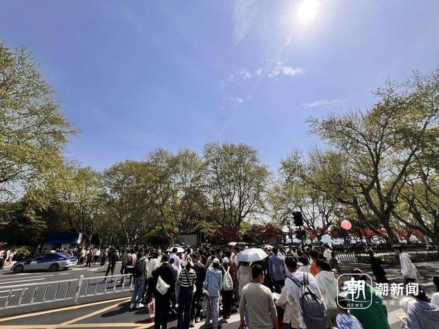 铺满了人！杭州断桥比白蛇找到许仙那天还热闹！