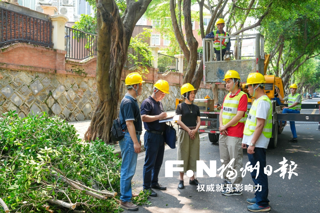 福州12345热线：线上高频巡查 线下实地督办