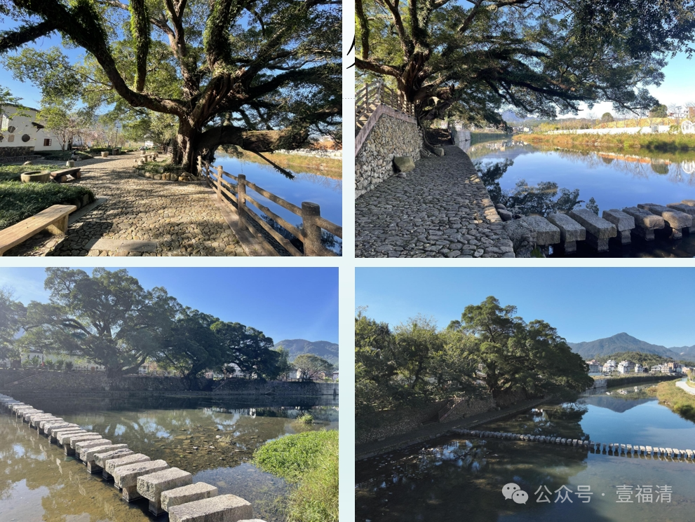 半山咖啡、田野餐厅、湖畔民宿……福清这里将成出游“新宠”