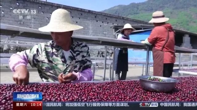 新增24个本科专业！足球、马术、咖啡…今年就能报名了！