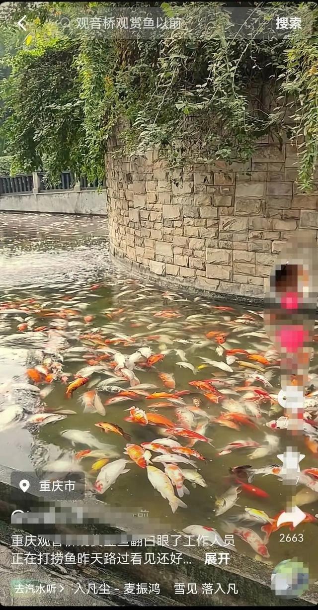 重庆观音桥死亡锦鲤装满三十多个编织袋 警方通报