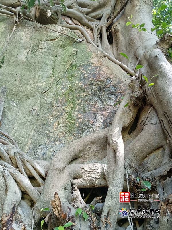 冶山摩崖石刻群 首次发现 “冶山”二字