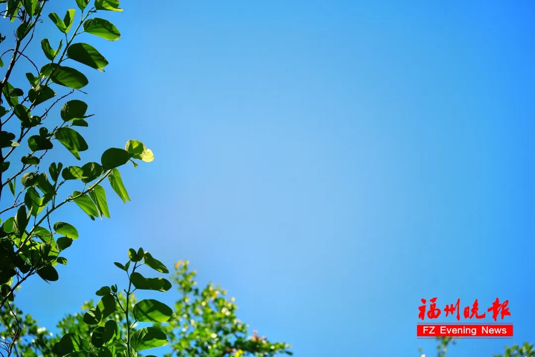 红色预警！福州启动应急响应！双台风有最新消息……