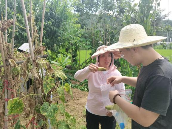 大学生深入田间地头为生物安全保驾护航