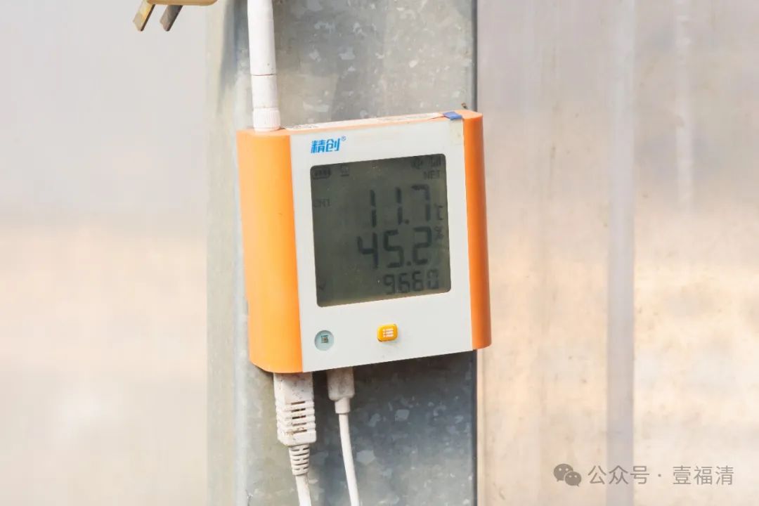 水果摘下就能吃！福清又有一个打卡点要来了……