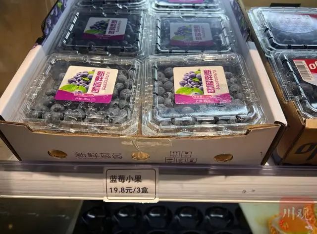 价格大跳水！从200元跌到8元一斤，很多人爱吃！正大量上市