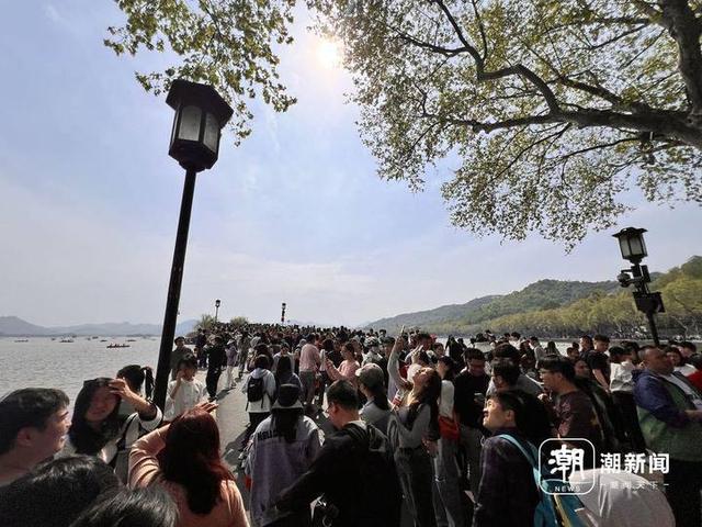 铺满了人！杭州断桥比白蛇找到许仙那天还热闹！