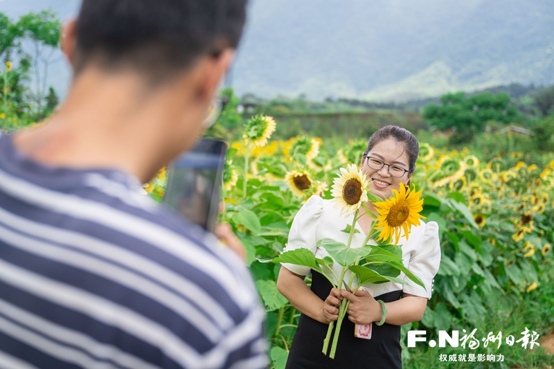 闽侯孔元村的十年“种花”路：网红村的“花期”如何更持久？