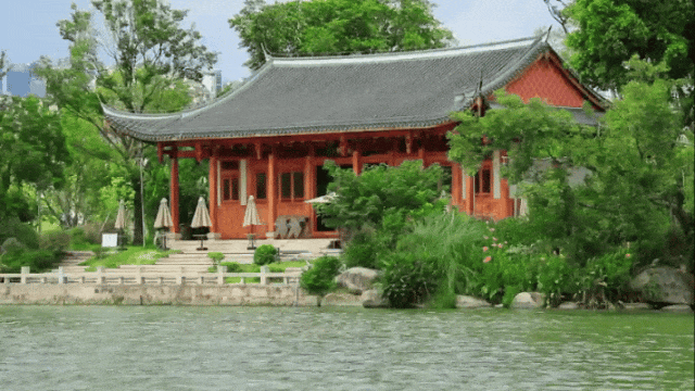 约起！就在明天，晋安湖公园还有龙舟赛！