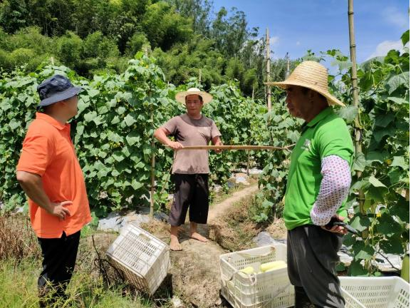 大学生深入田间地头为生物安全保驾护航