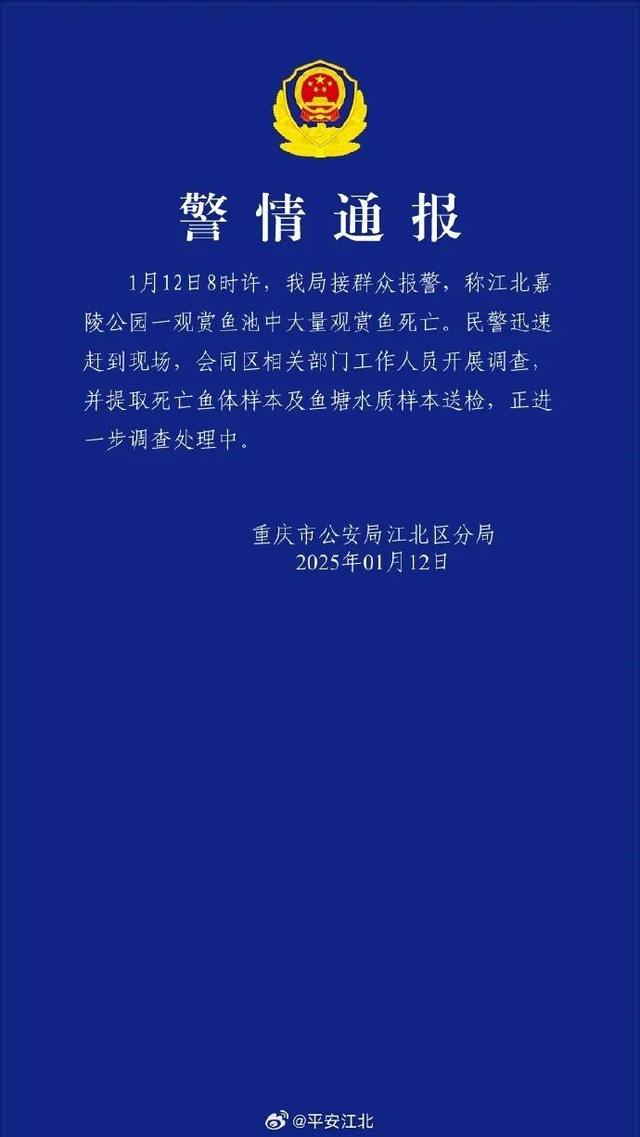 重庆观音桥死亡锦鲤装满三十多个编织袋 警方通报