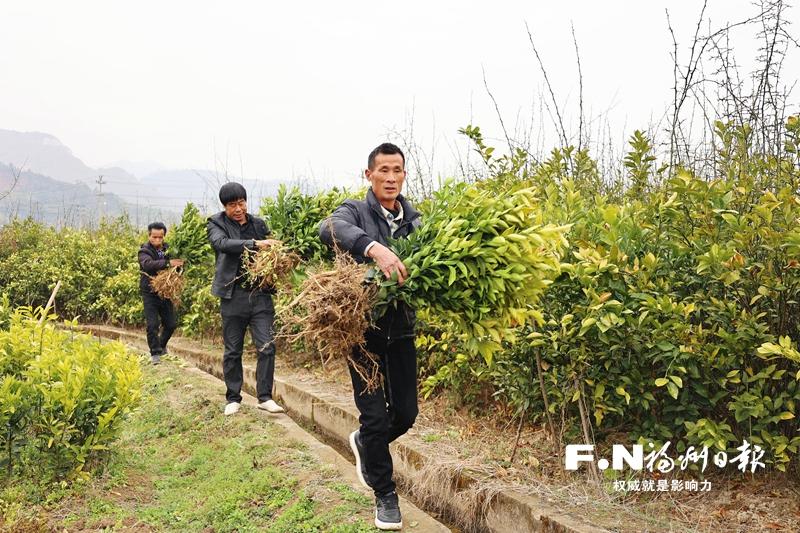 连江：土专家打造花果山 致富苗欢歌走四方