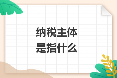 纳税主体是指什么