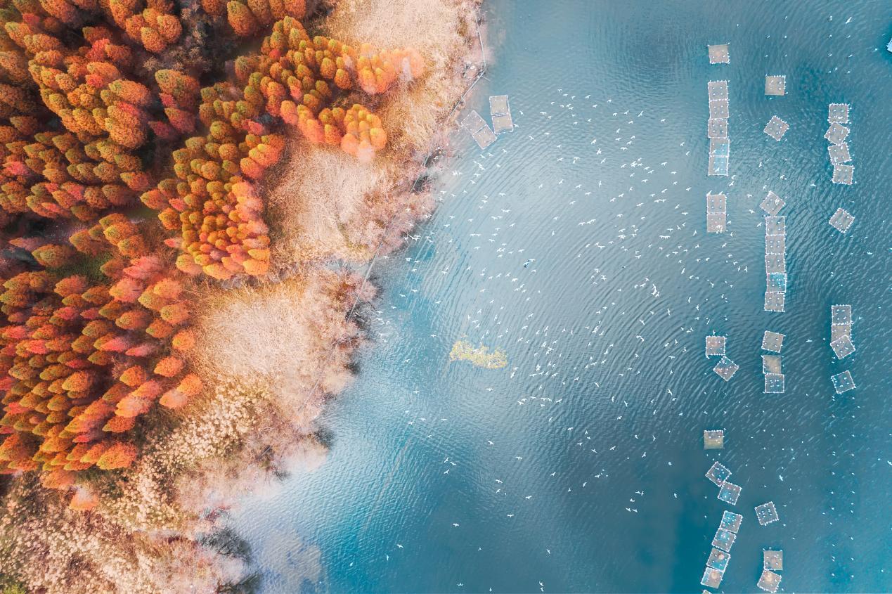 VCG211282852360