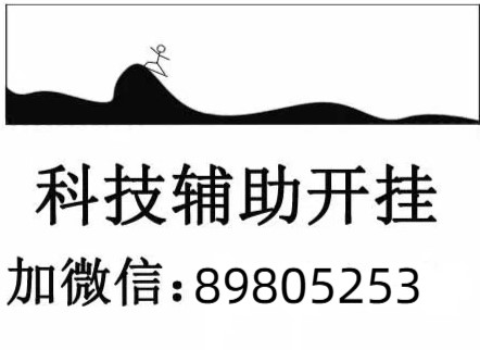 实实记录(中至丰城麻）透明辅助脚本(辅助挂)教程辅助神器（开挂普极）-（哔哩哔哩）
