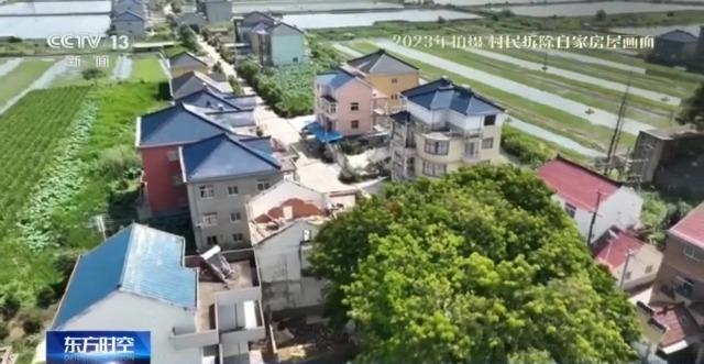千百岁的古树年龄怎么测出来的？这些绿色“古董”认识一下