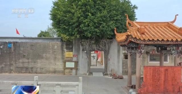 千百岁的古树年龄怎么测出来的？这些绿色“古董”认识一下