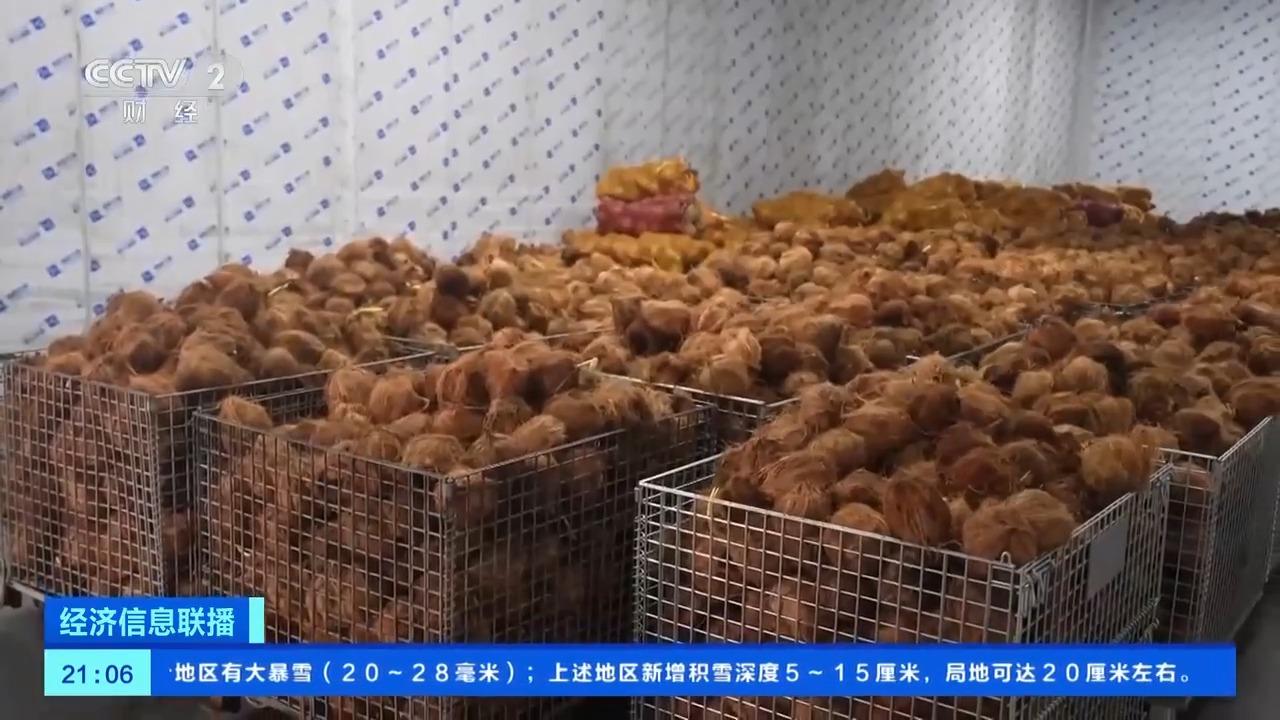 “椰”来了！我国首次从印尼进口鲜食椰子