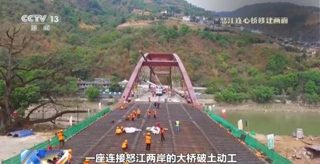 千百岁的古树年龄怎么测出来的？这些绿色“古董”认识一下